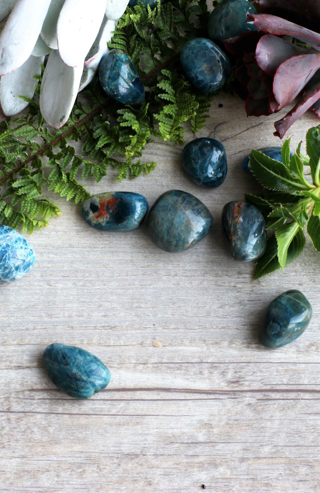 Blue Apatite  A Tumbled Stone